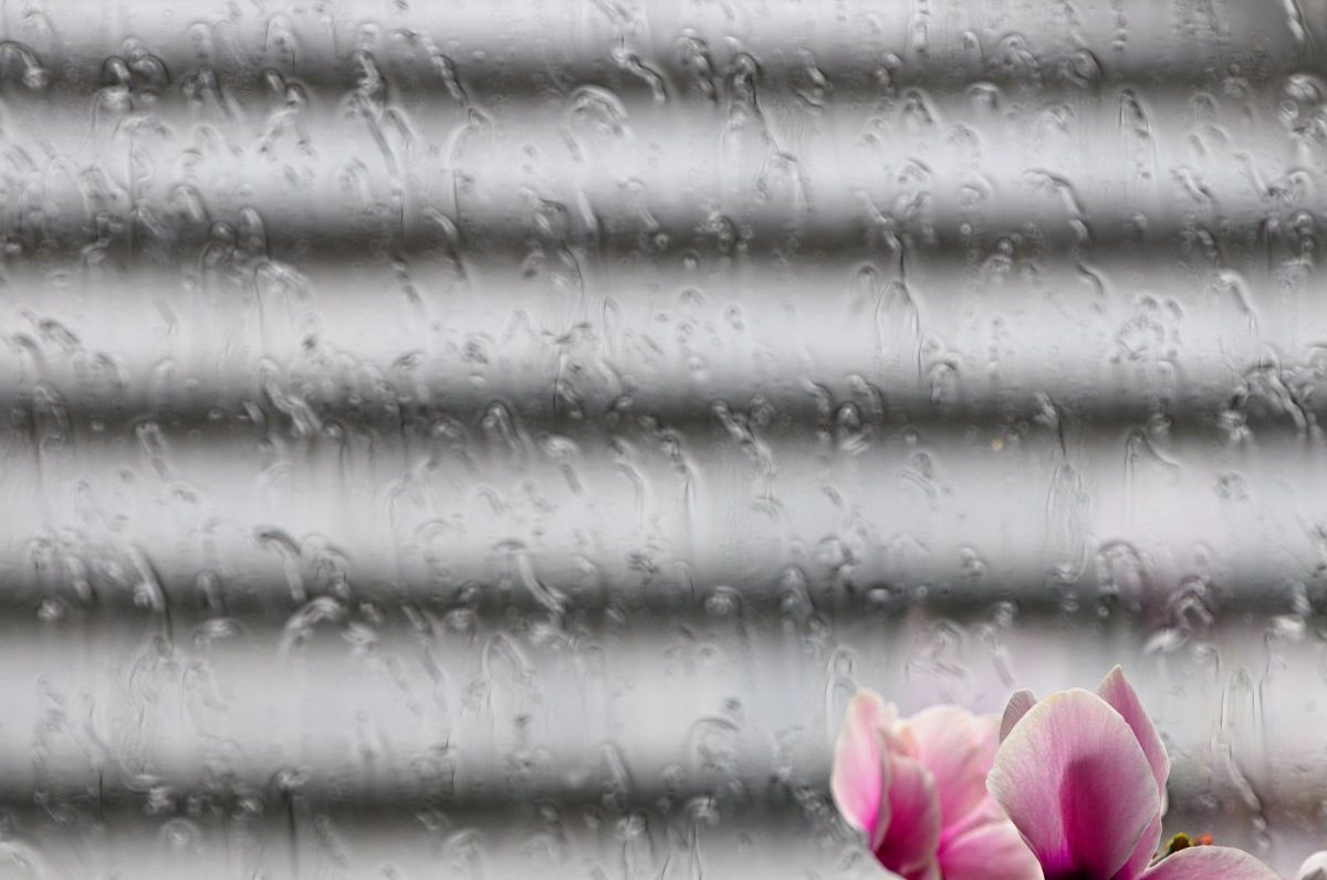 雨垂れ ライフ 日常生活 Ganref 雨垂れ ライフ 日常生活 Ganref