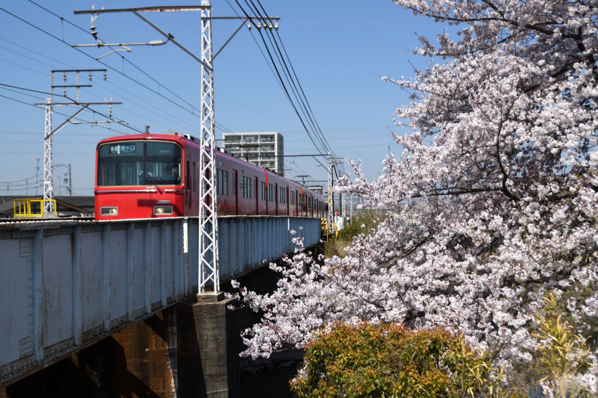 花見ポイント! GANREF