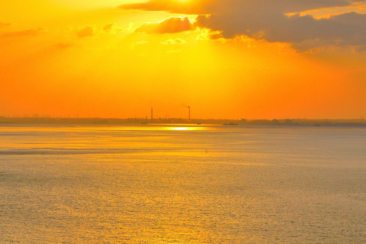 D40で撮影された写真 | 写真検索 | GANREF