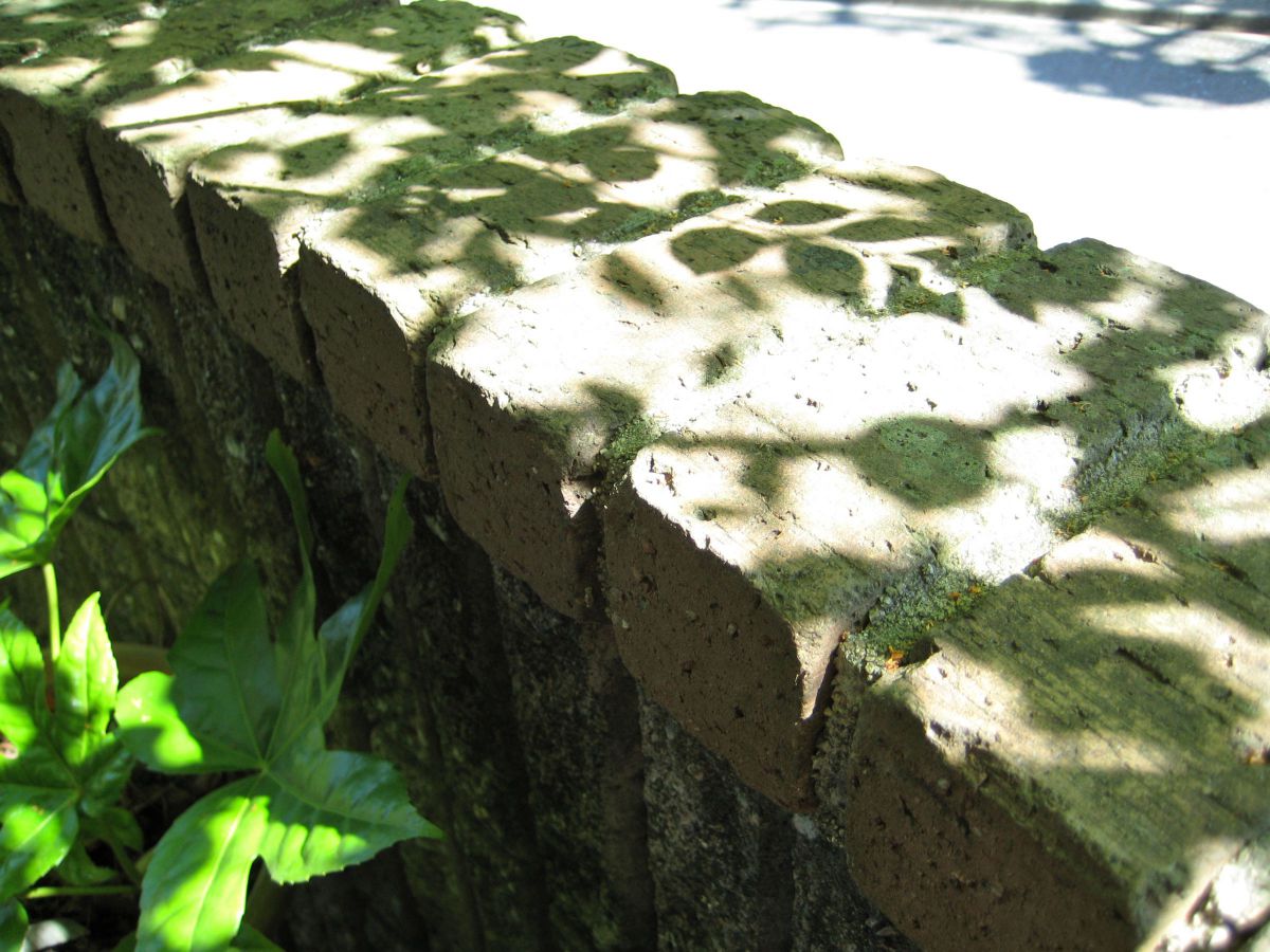 概ね美品 Canon IXY DIGITAL 10 撮影例有 h01d49dd IXY DIGITAL