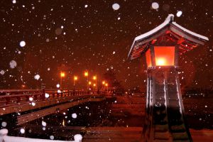 MDAwMDA0NTIwNA_MC4yODc1NzIwMCA