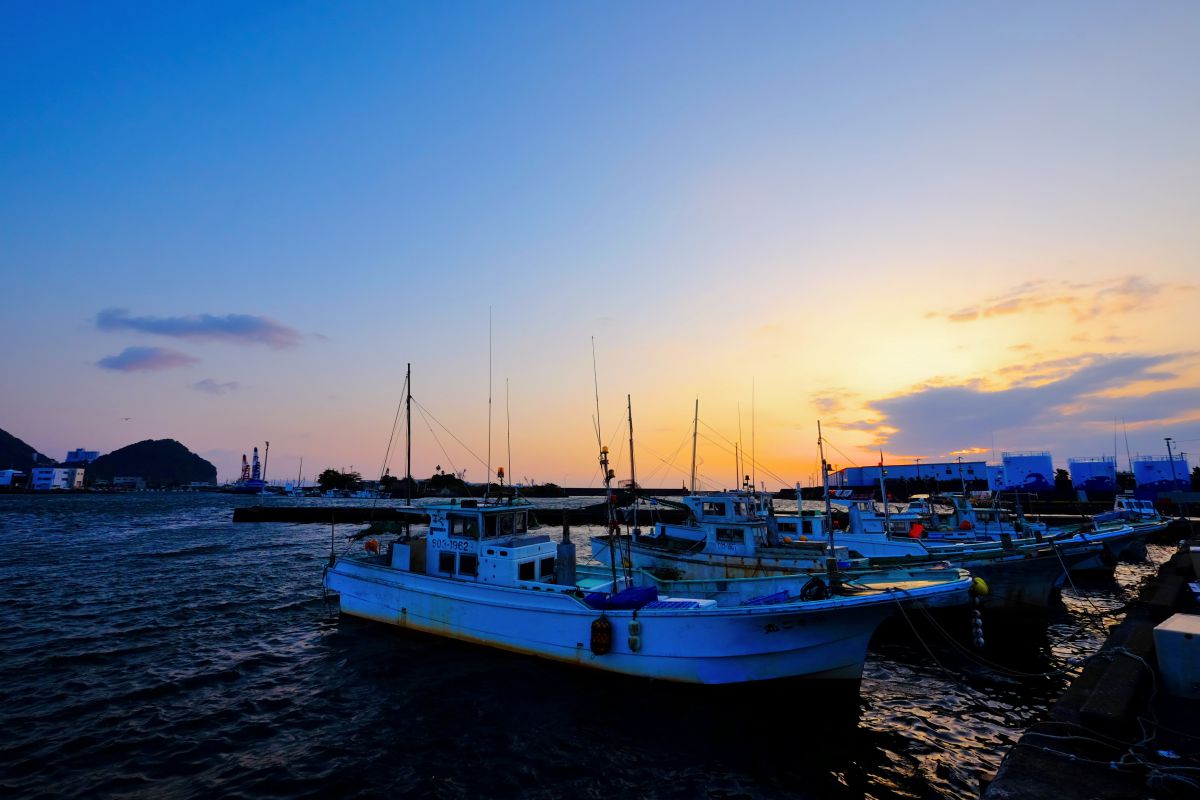 早朝の焼津港 自然 風景 海 Ganref