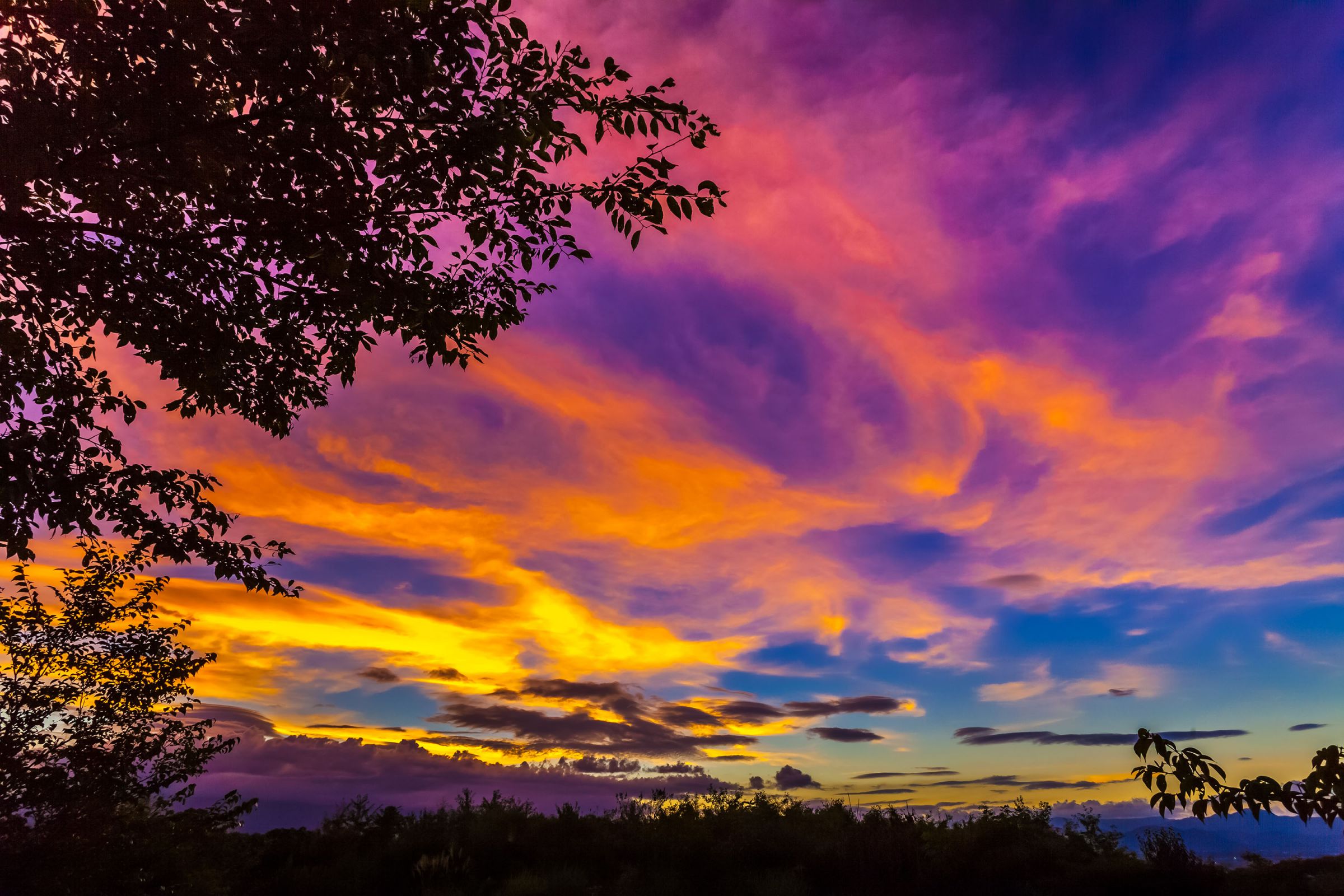 夕焼け雲を見上げて | GANREF