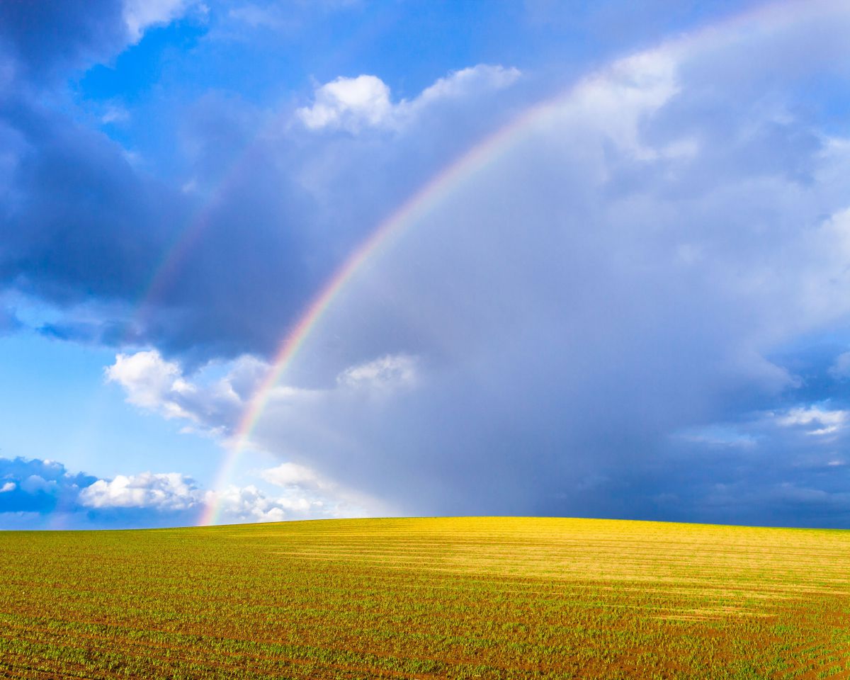 EF17-40mm F4L USMで撮影された写真 | 写真検索 | GANREF