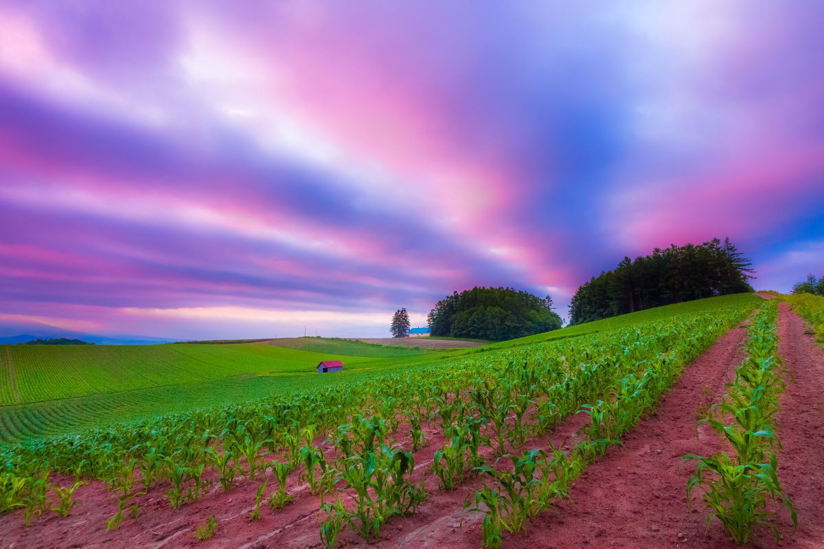 風景写真に最適◎ Canon EF 17-40mm F4L USM CANON EF 17-40mm F4L USM | 滝桜や三春町をはじめ裏磐梯、福島