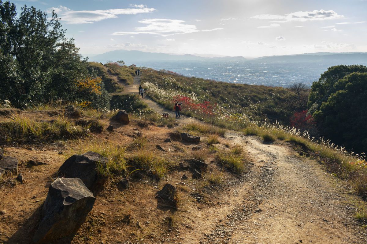 Late Afternoon Mountain Trail | GANREF
