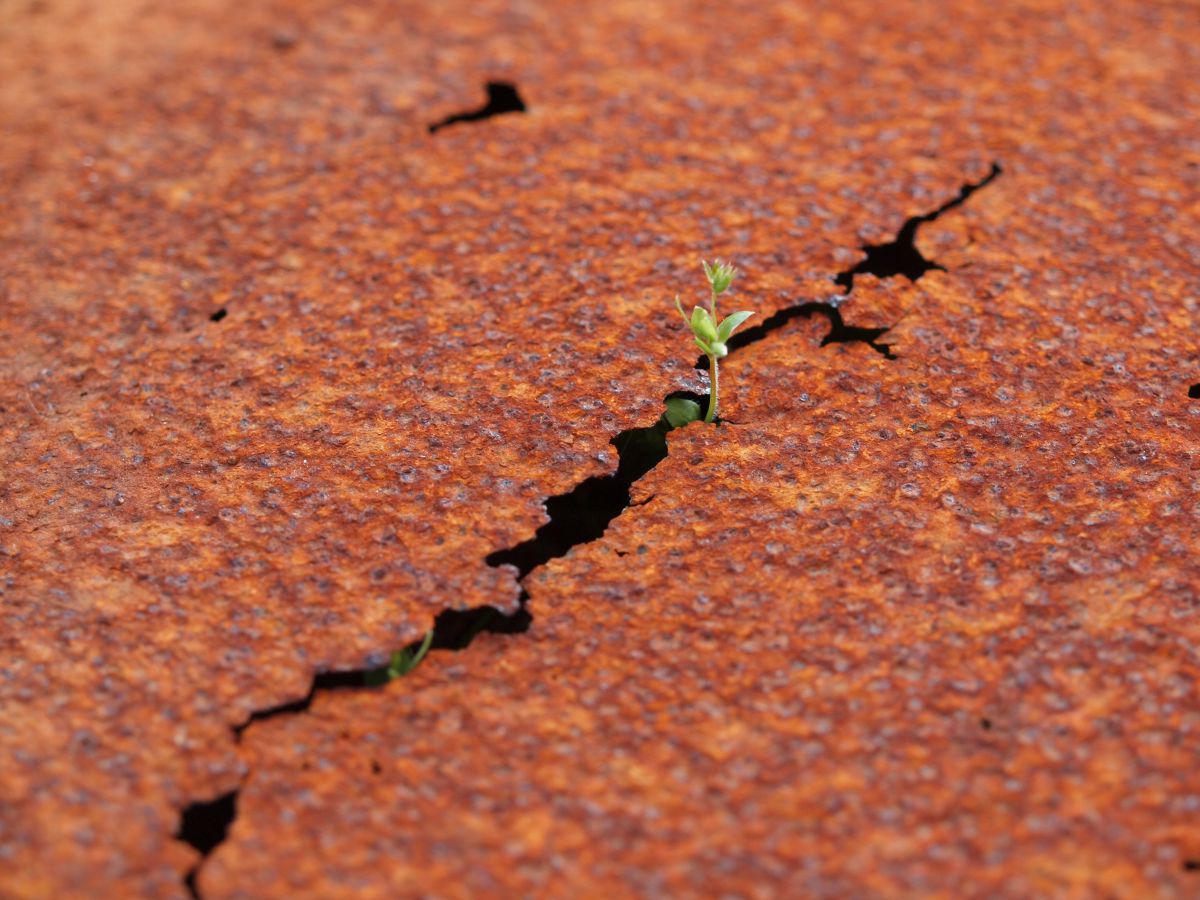 ZUIKO DIGITAL 14-54mm F2.8-3.5 IIで撮影された写真 | 写真検索 | GANREF