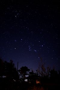 題名　オリオン座 オリオンざ（オリオン座（ざ）） - 天体ずかん｜Webずかん