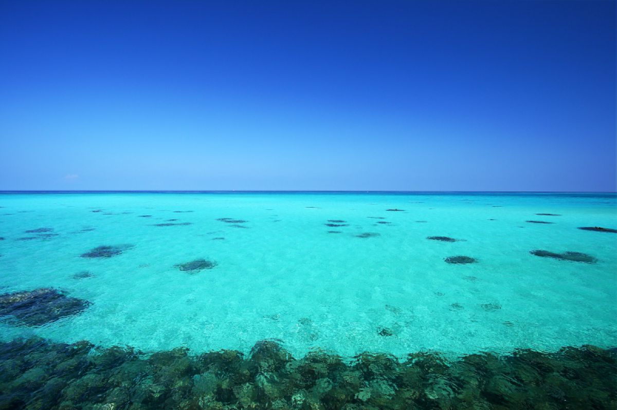 透明感 自然 風景 海 Ganref 透明感 自然 風景 海 Ganref