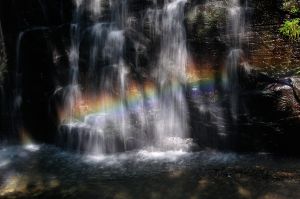 d73646a26225df9e25dadb695666f0