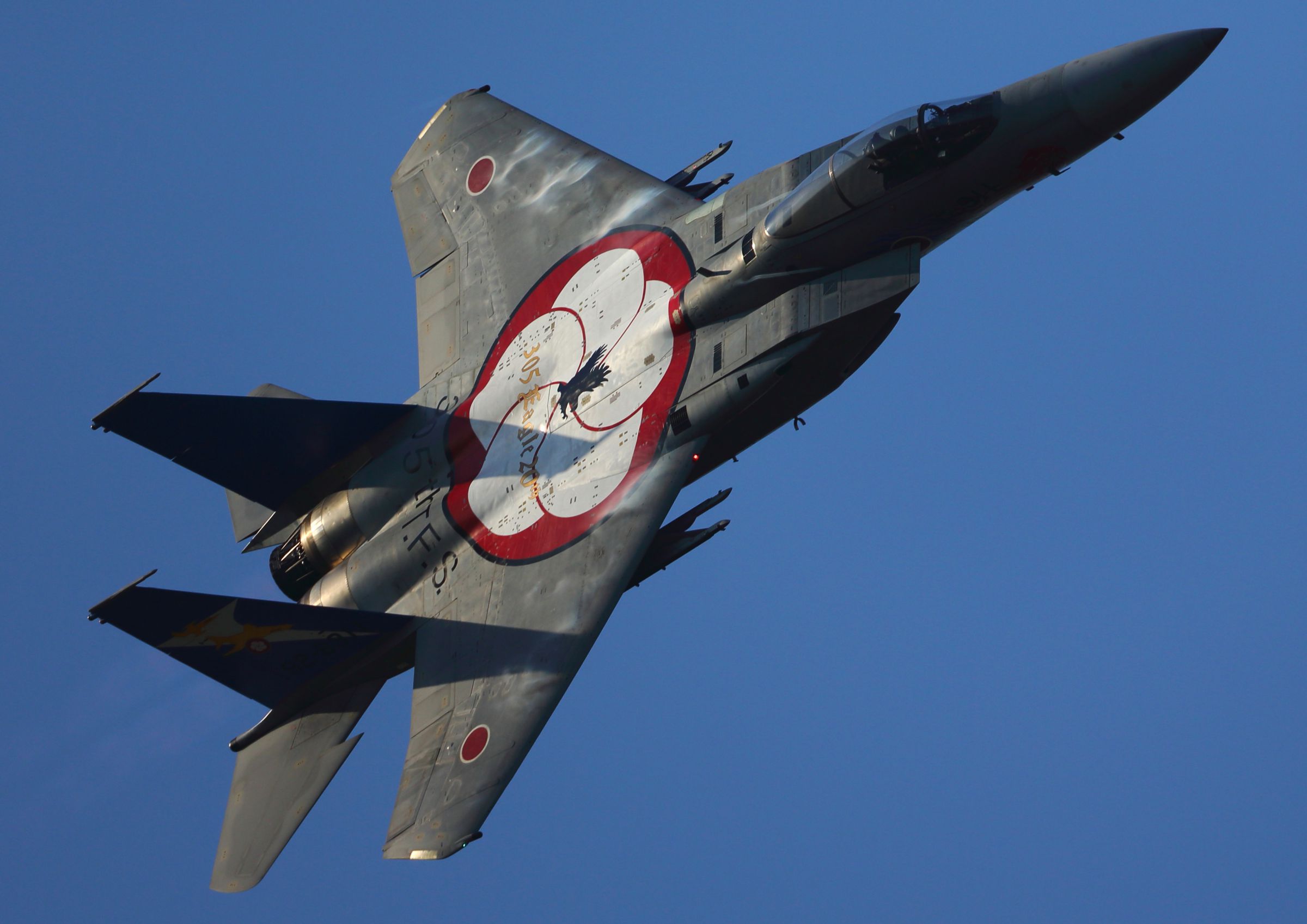305飛行隊 F15運用20周年記念塗装機 | GANREF