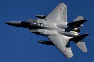 301飛行隊 F-4EJ改 40周年記念塗装機 | GANREF