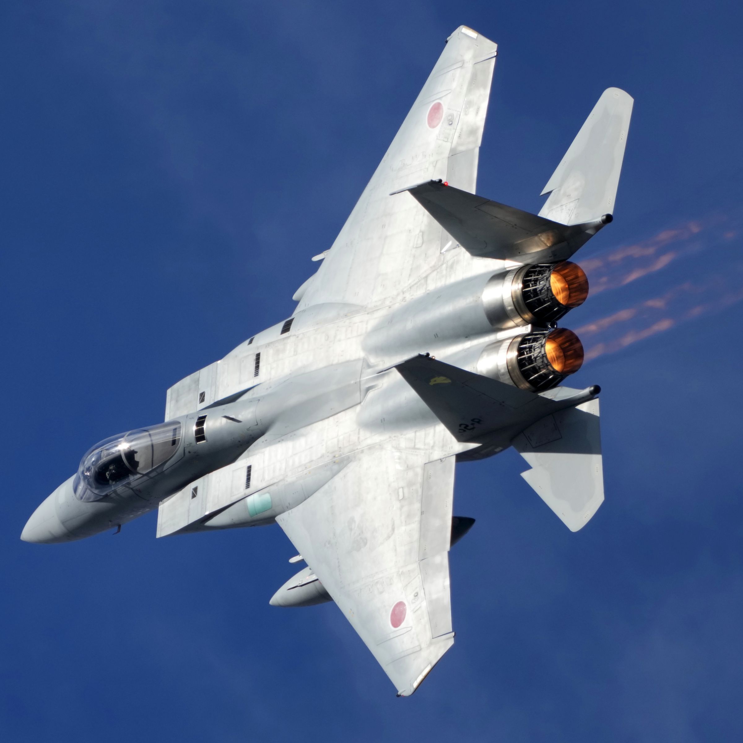 2023年百里基地航空祭 第306飛行隊 F-15J戦闘機 機動飛行 ② | GANREF