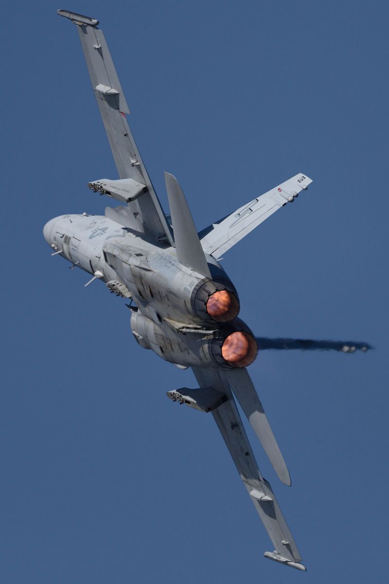 岩国基地フレンドシップデー F/A-18 ホーネット | GANREF