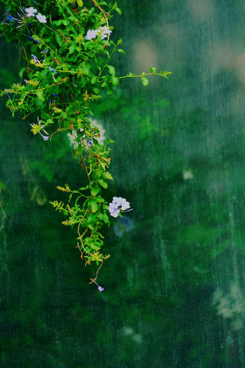 Mirrors of Time GANREF