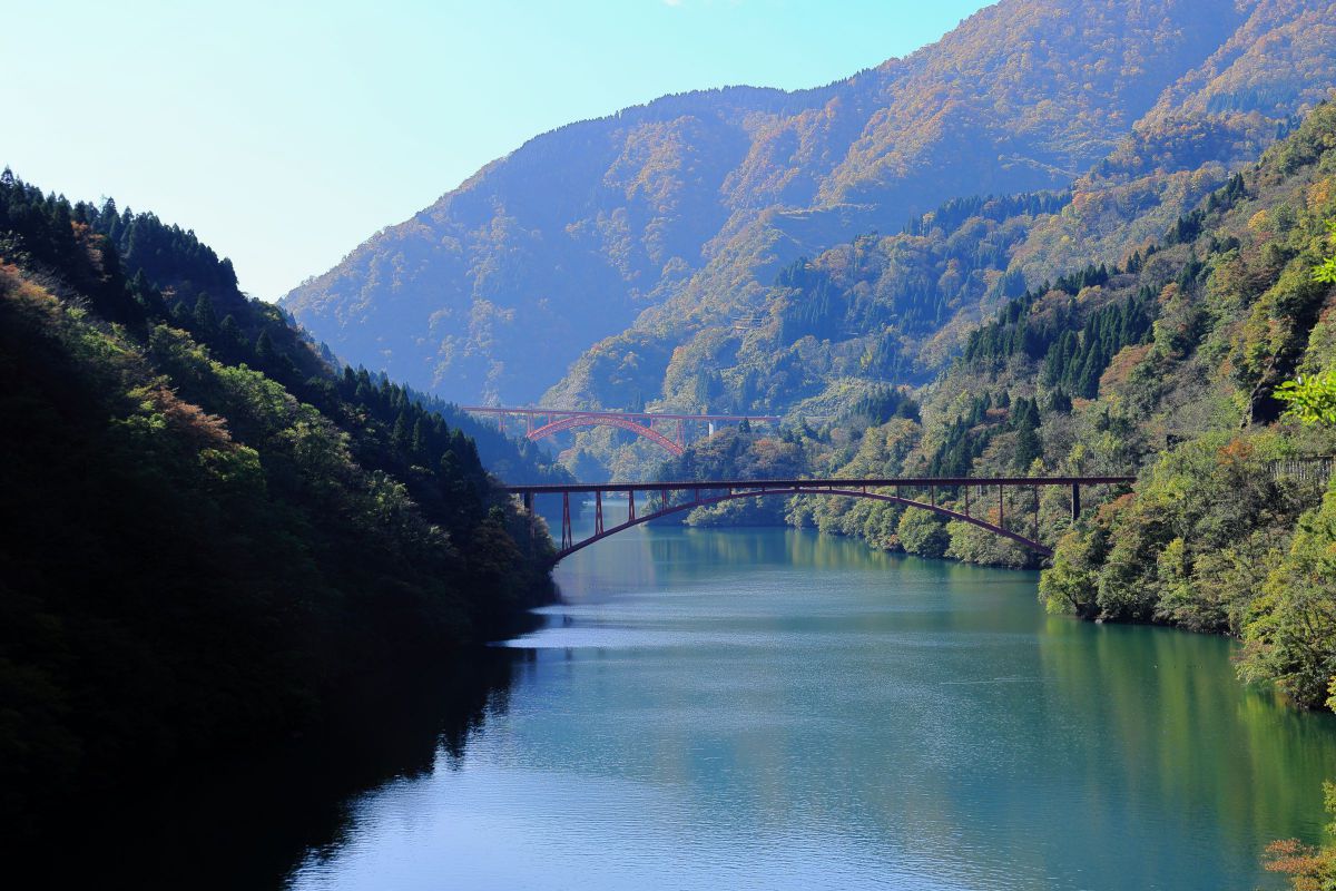 庄川峡紅葉 GANREF