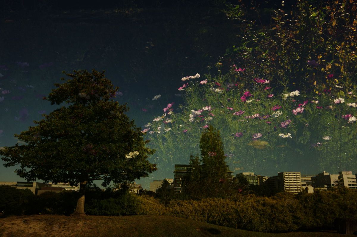 花の町 Ⅰ GANREF