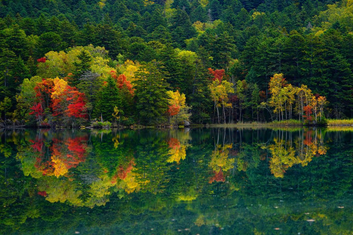 オンネトーの紅葉 自然 風景 湖沼 Ganref