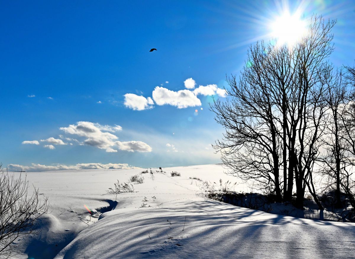 Z 8で撮影された写真 | 写真検索 | GANREF
