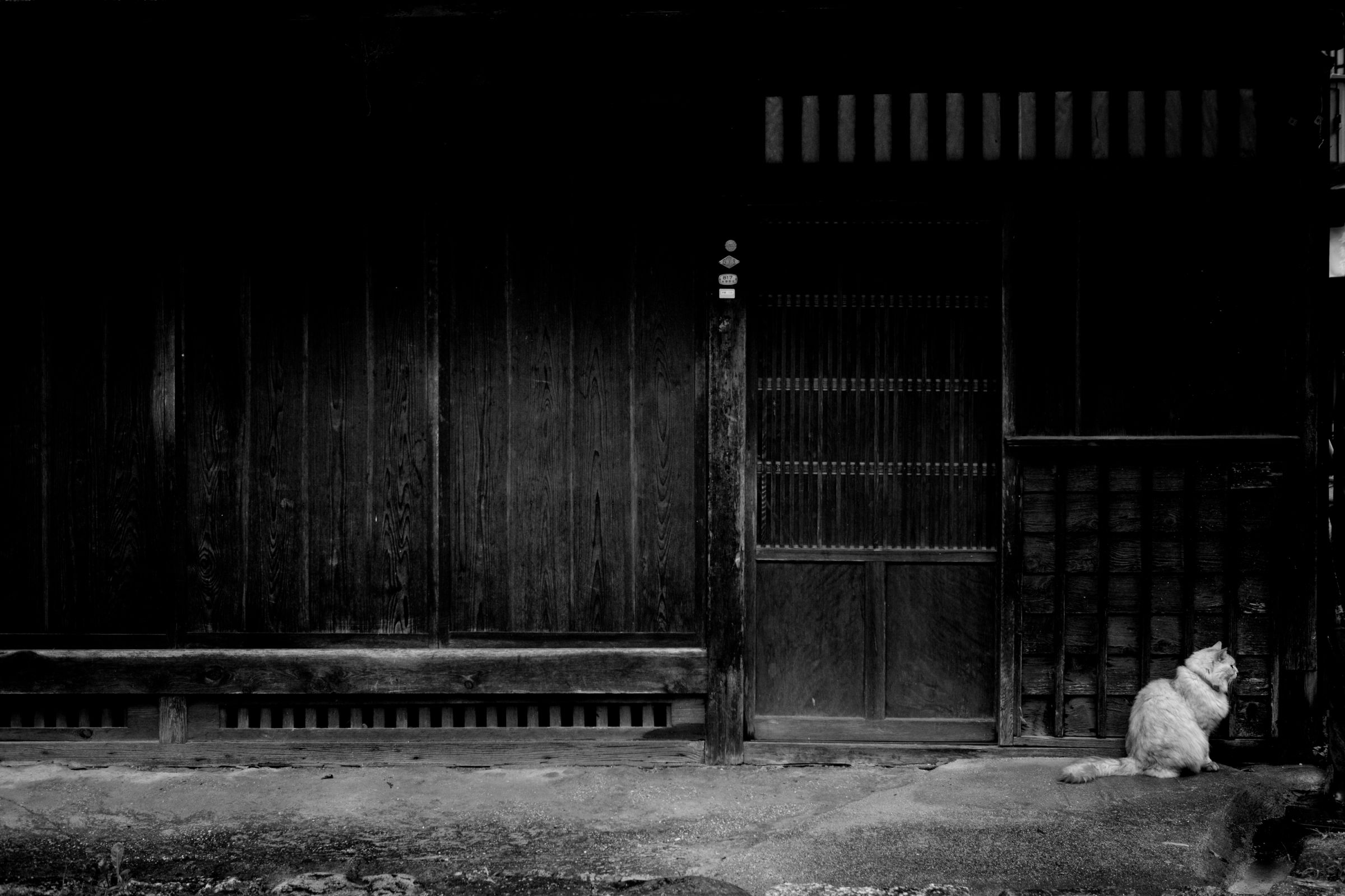 雨宿りの樹 宿の軒下で雨宿り | GANREF