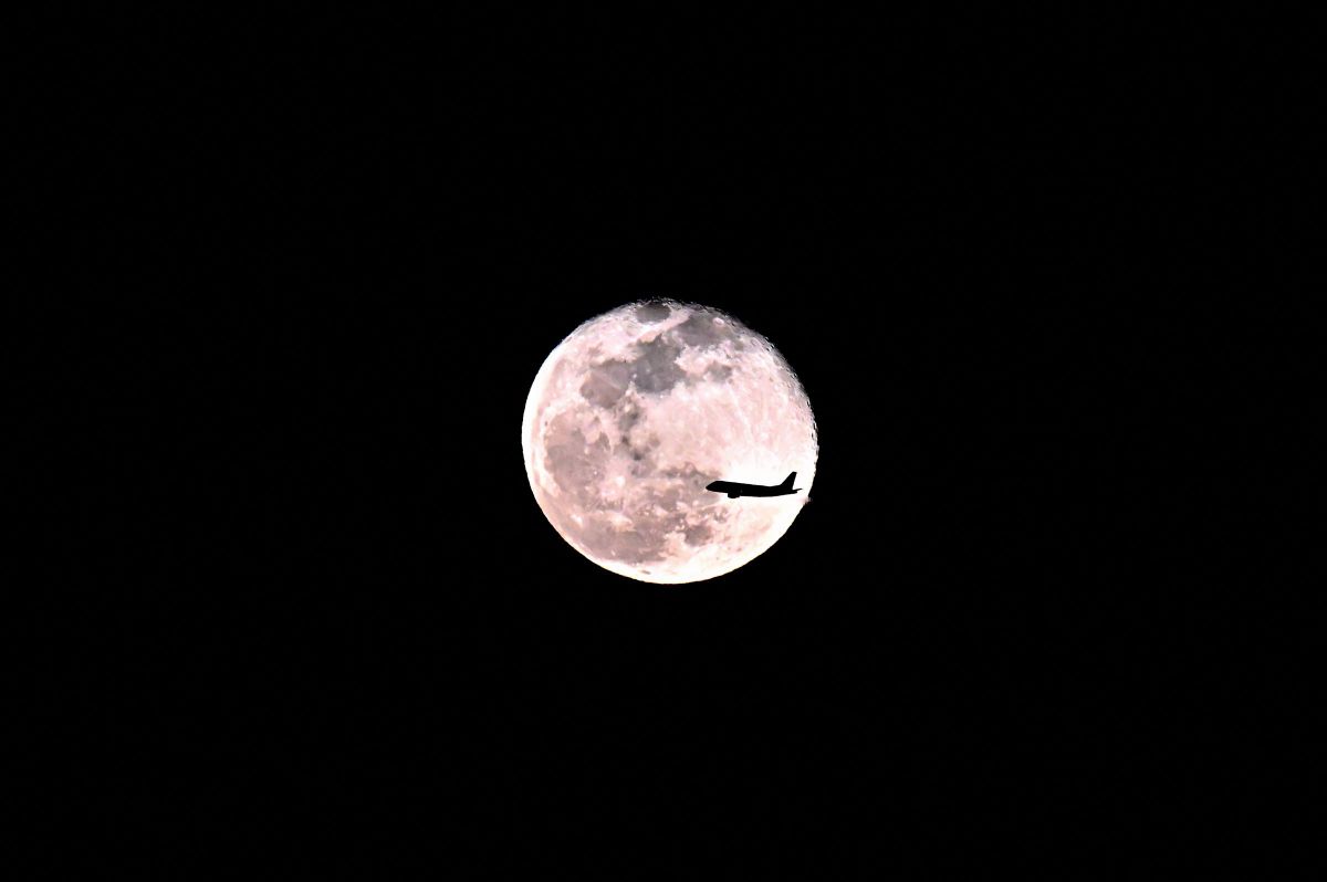 Fly me to the Moon | GANREF