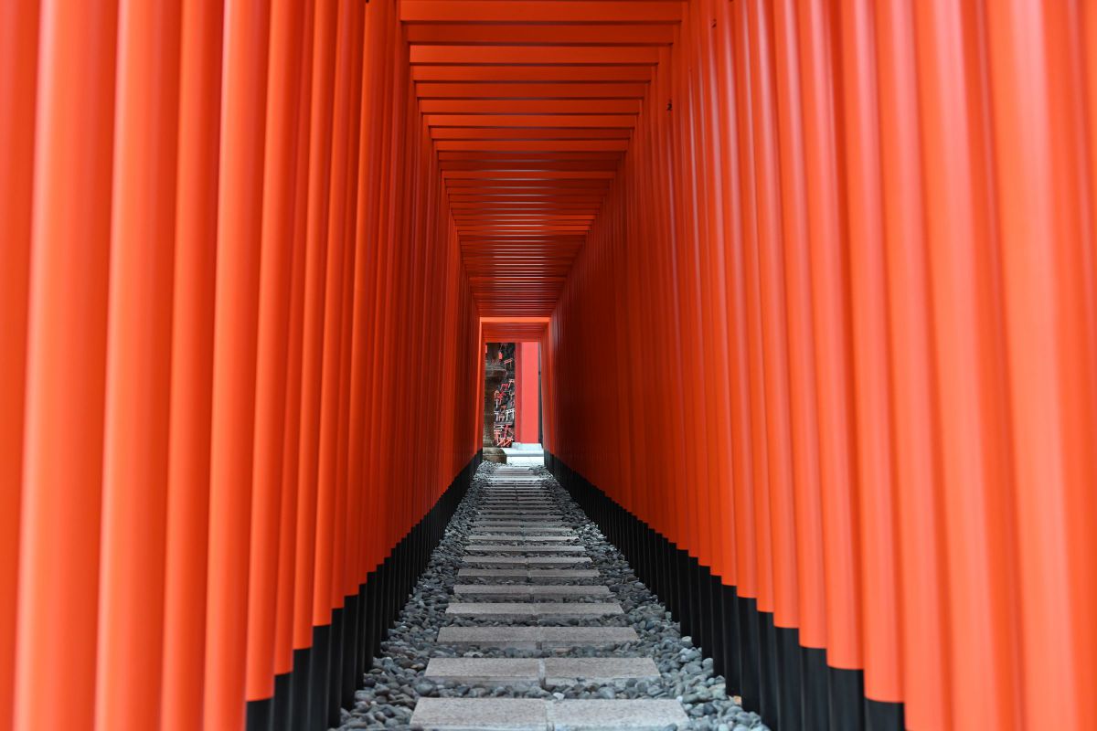 Z 7IIで撮影された写真 | 写真検索 | GANREF