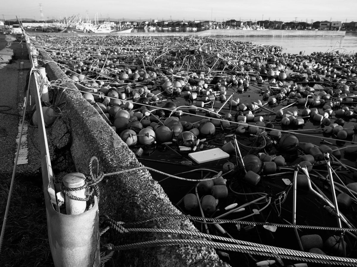 GR DIGITAL IIIで撮影された写真 | 写真検索 | GANREF