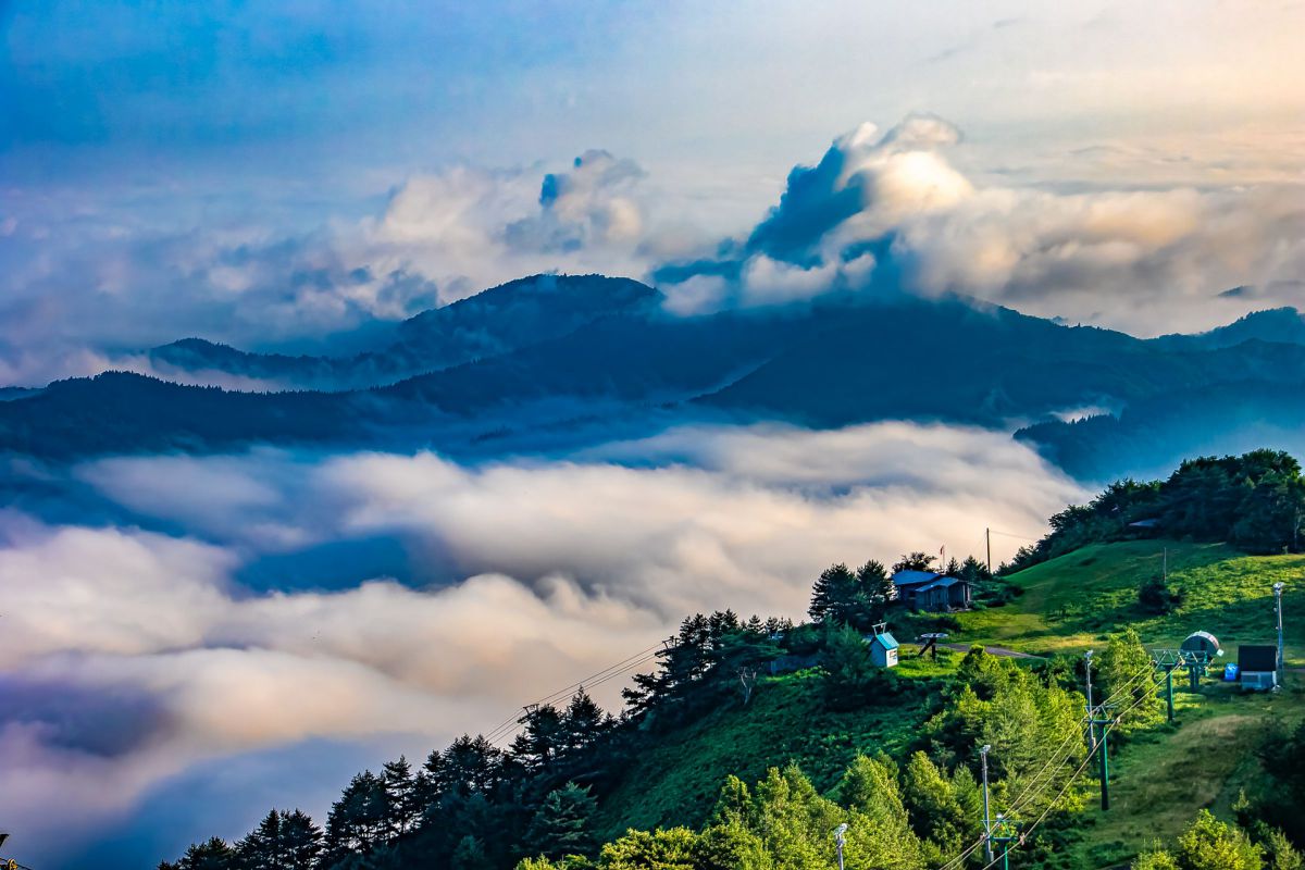 高原の目覚め GANREF