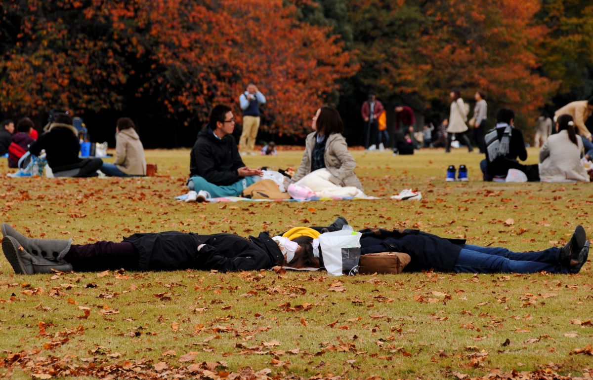 公園で昼寝 人物 仲間 友人 集団 Ganref
