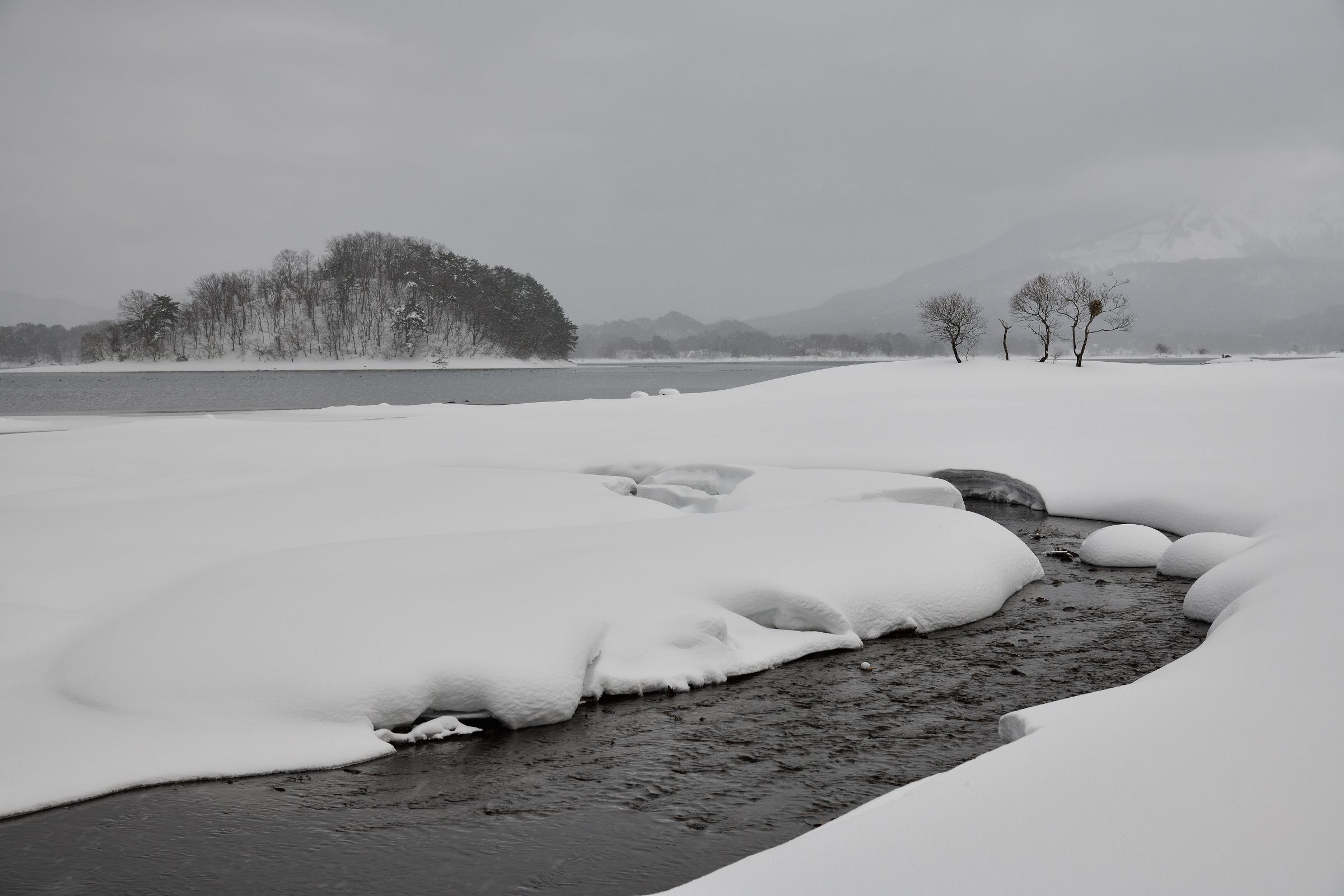 冬景圖 winter-summer-600w-421478725.jpg