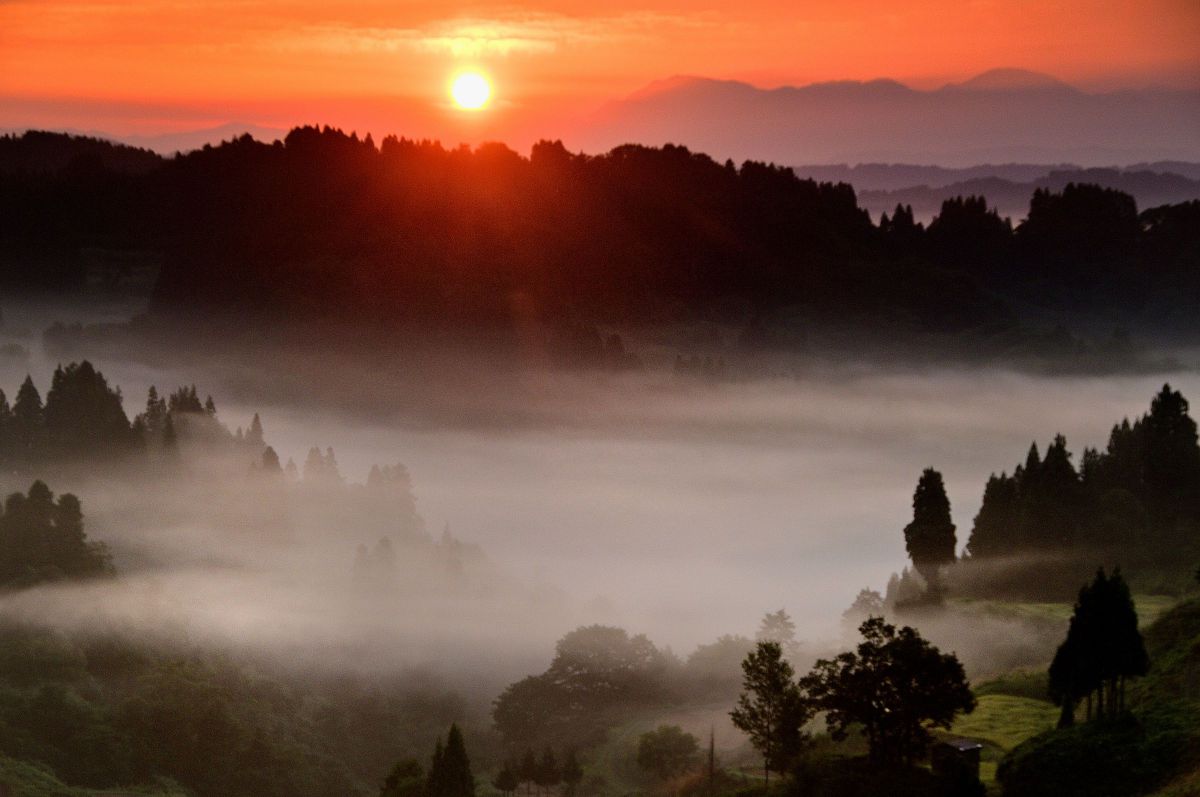 AF-S DX VR Zoom-Nikkor 18-200mm f/3.5-5.6G IF-EDで撮影された写真