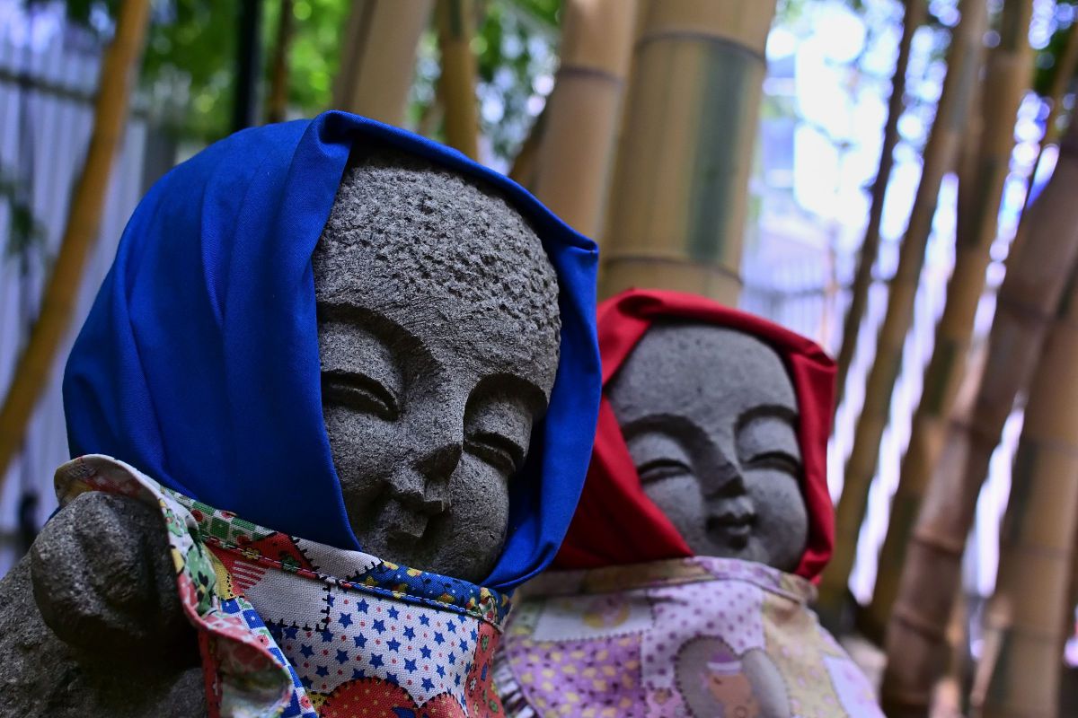 1 NIKKOR 18.5mm f/1.8で撮影された写真 | 写真検索 | GANREF