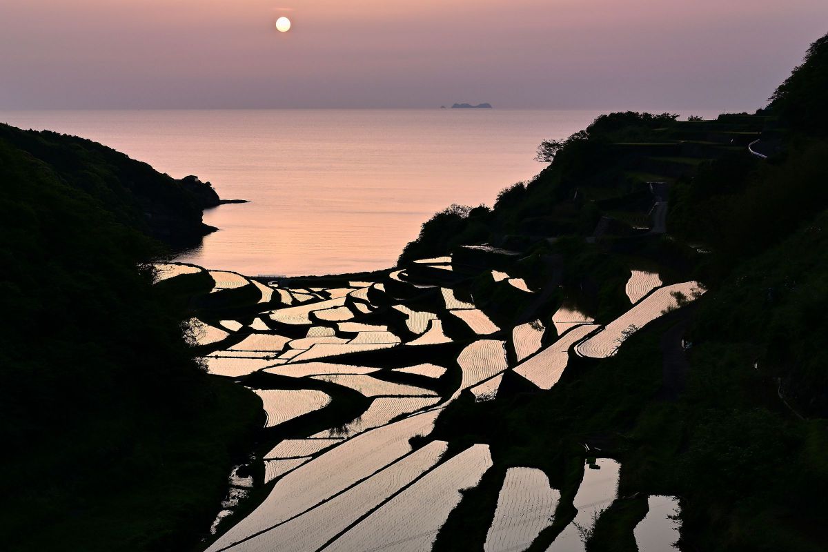 Z 8で撮影された写真 | 写真検索 | GANREF