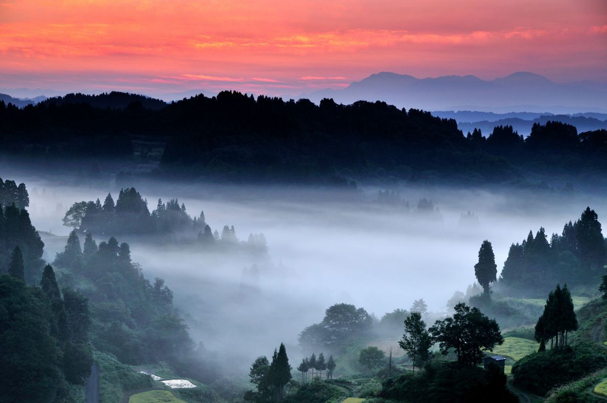 ❤️エモ写に❤️Nikon 18-200mm フィルム風描写✨ AF-S DX VR Zoom-Nikkor 18-200mm f/3.5-5.6G IF-EDで撮影された