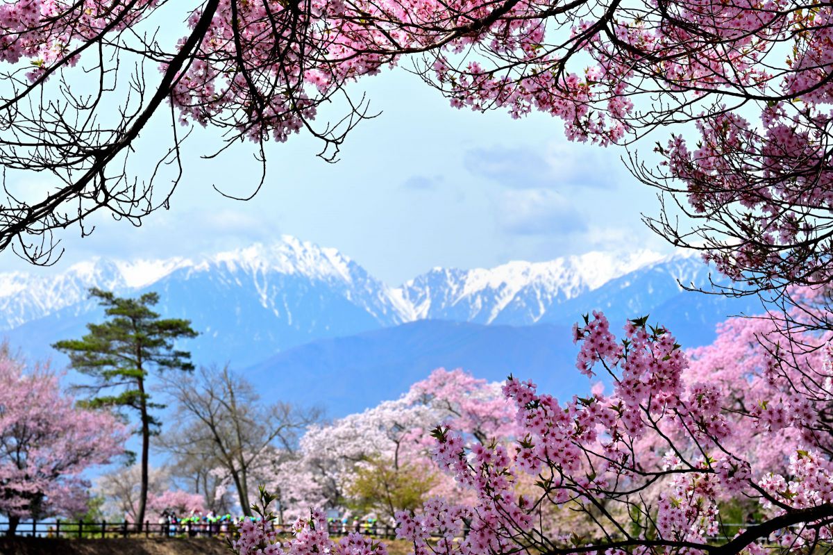 Z 7IIで撮影された写真 | 写真検索 | GANREF