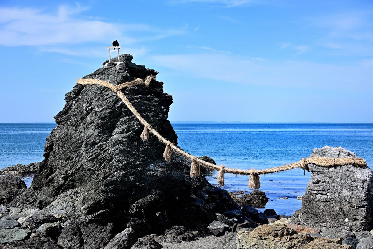 NIKKOR Z 24-200mm f/4-6.3 VRで撮影された写真 | 写真検索 | GANREF