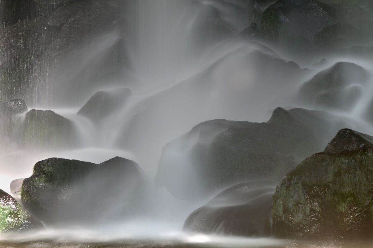 NIKKOR Z 28-400mm f/4-8 VRで撮影された写真 | 写真検索 | GANREF