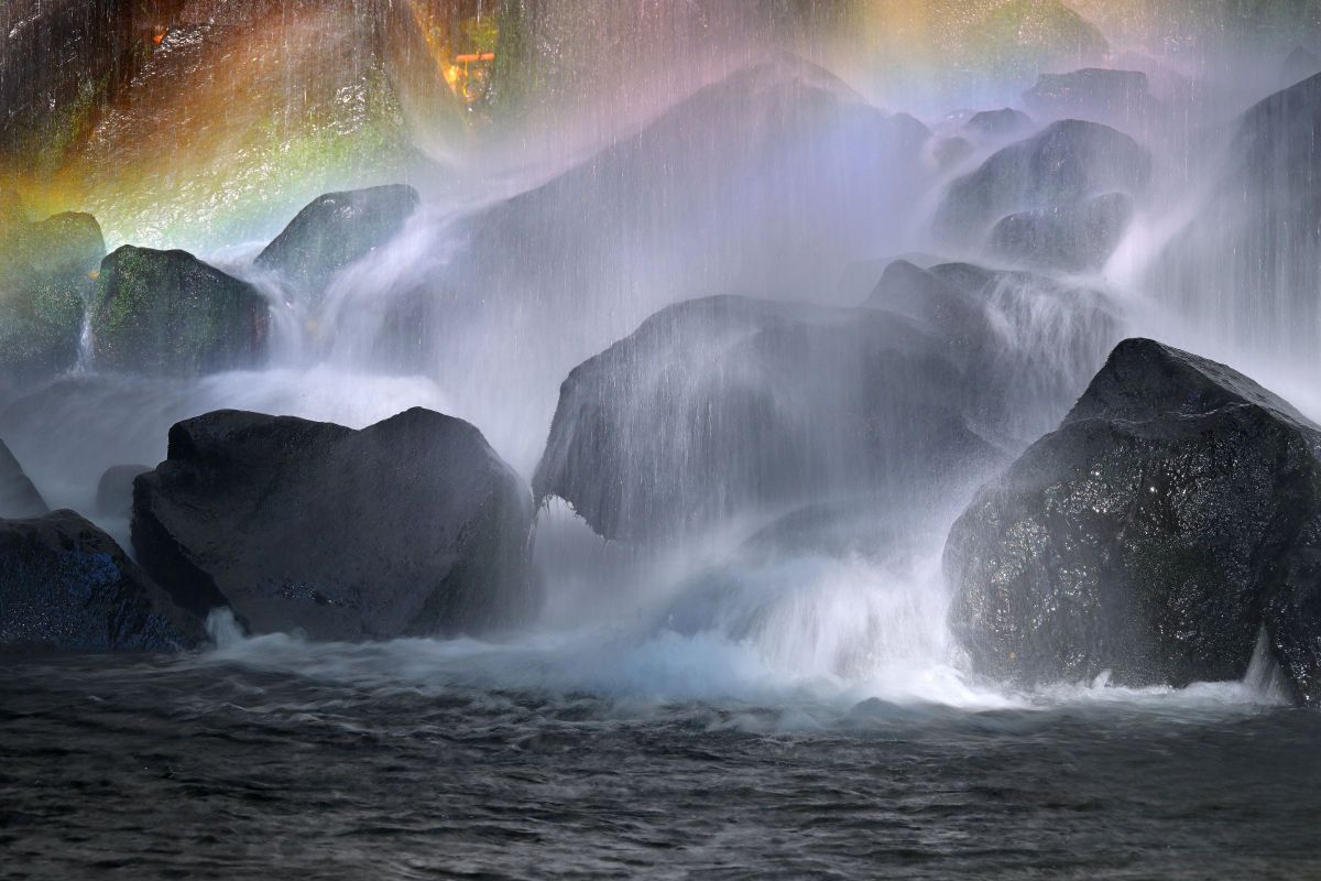 Z 8で撮影された写真 | 写真検索 | GANREF