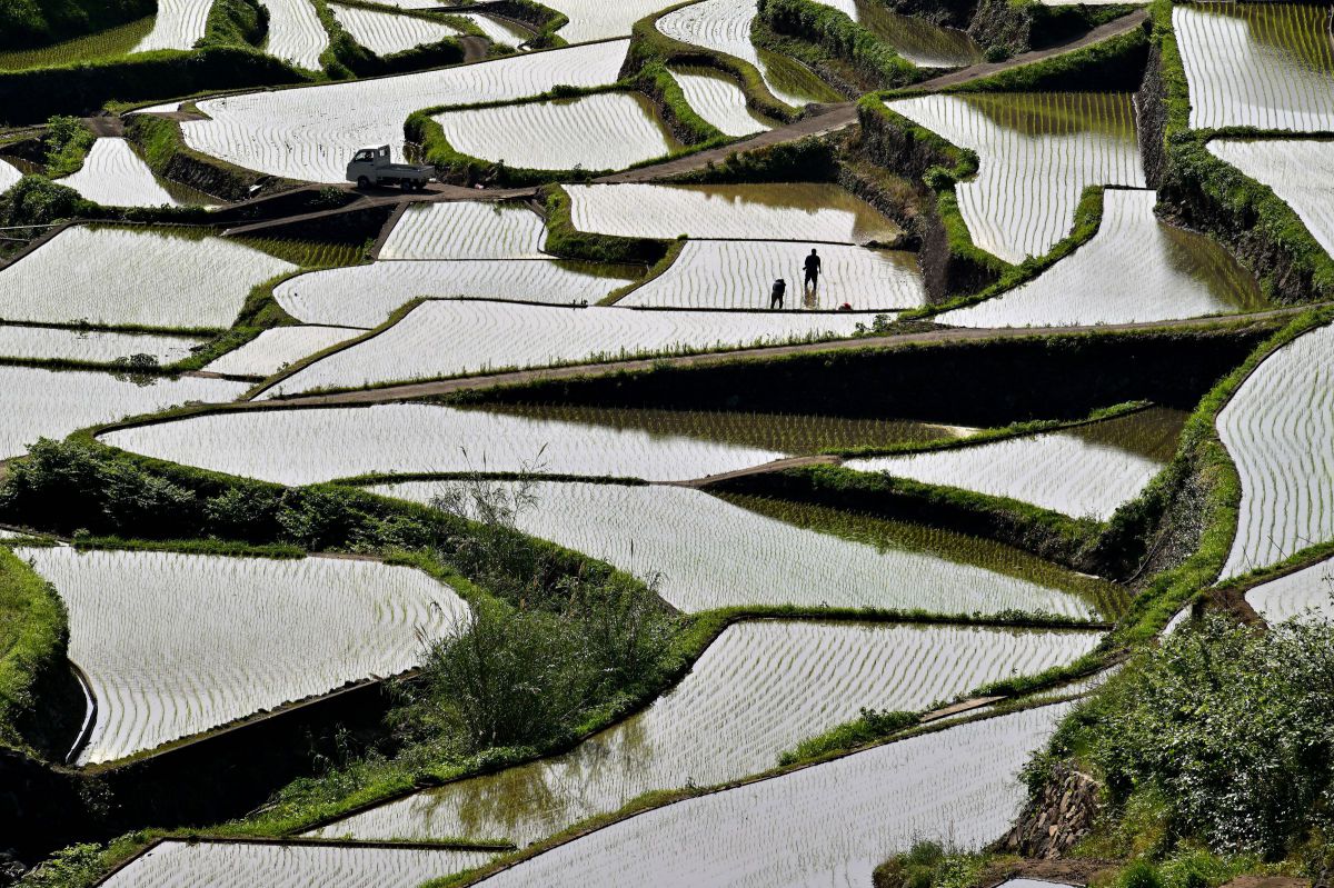 Z 8で撮影された写真 | 写真検索 | GANREF