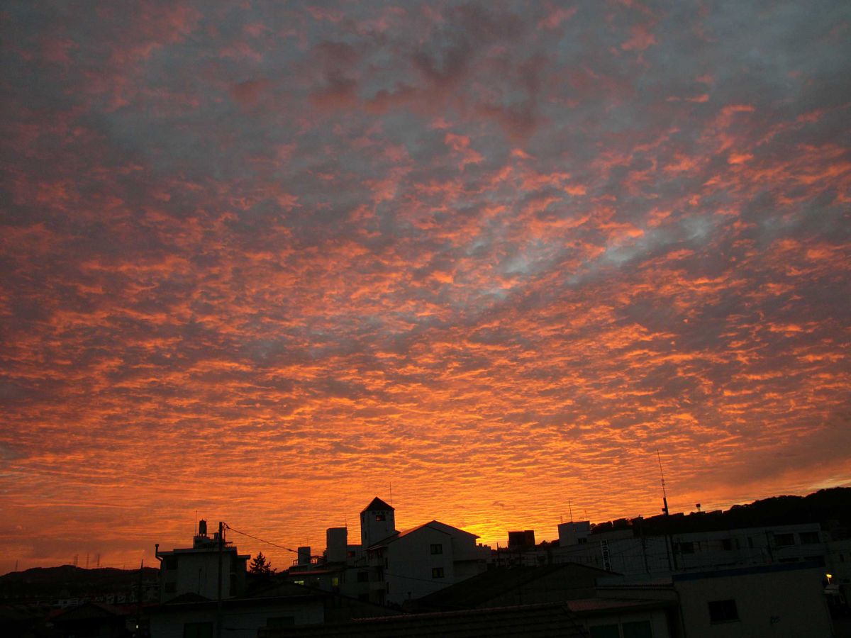朝焼けの空 自然 風景 空 雲 Ganref