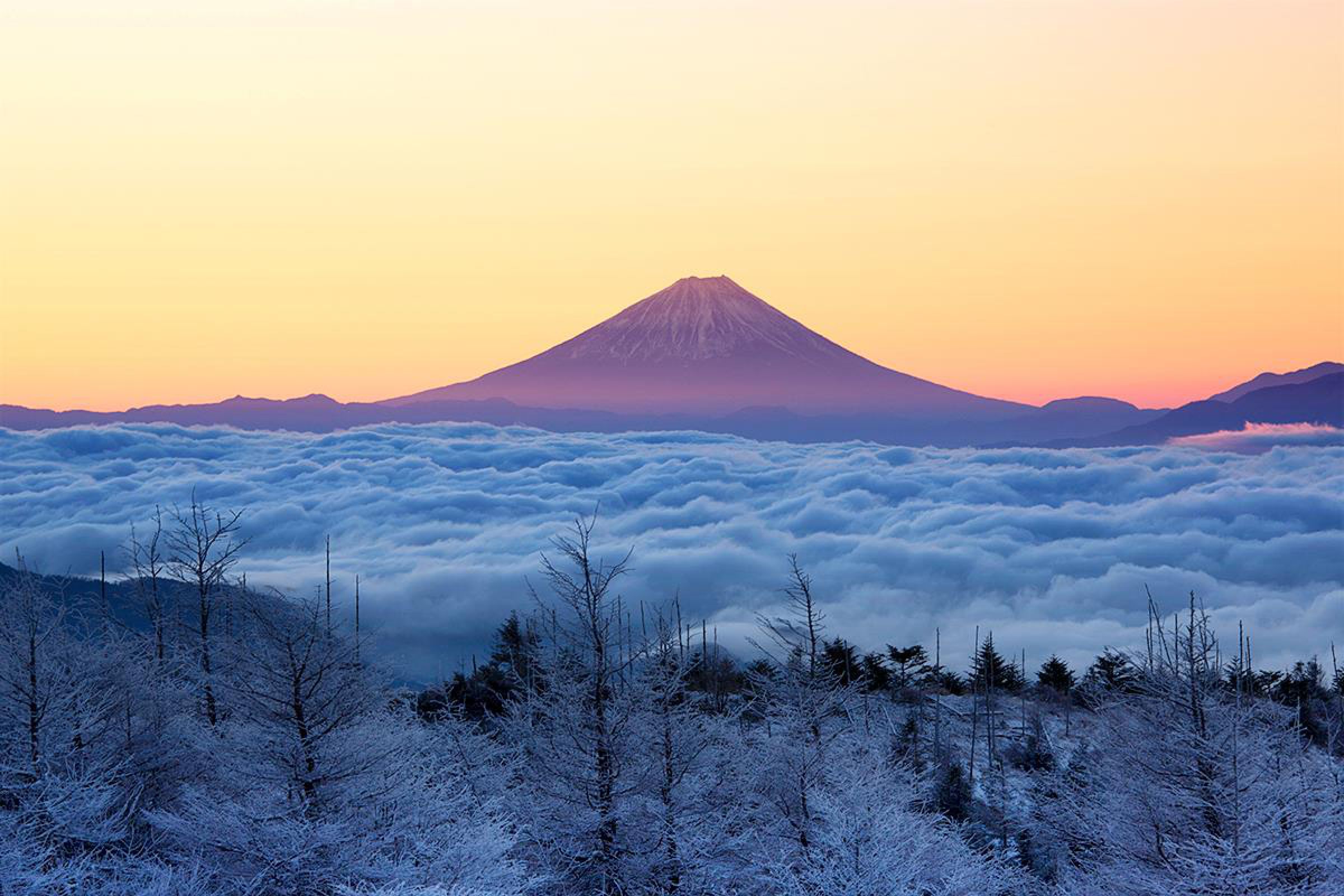 霧氷と雲海の先にはピンク色に染まる富士山 | GANREF