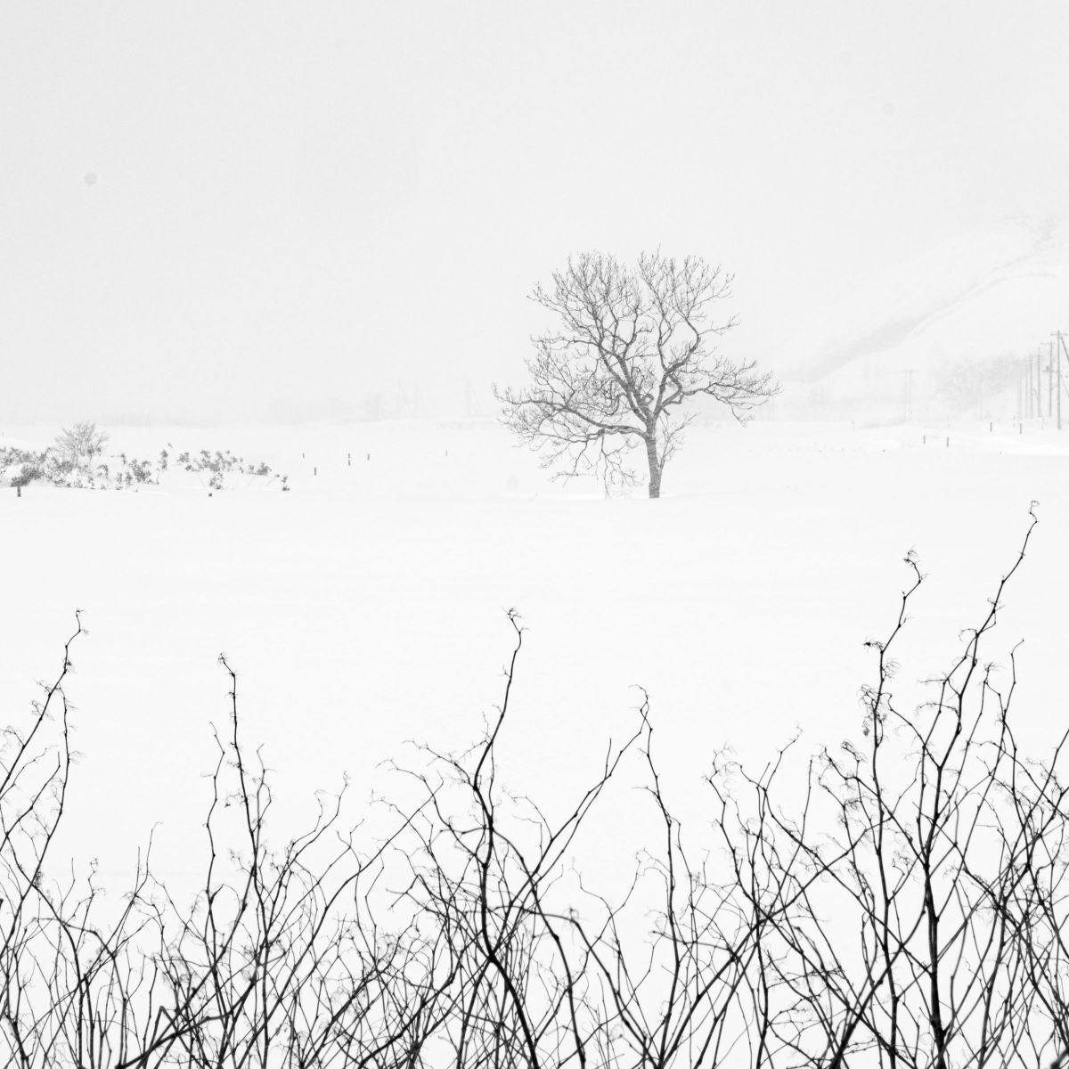 winter sketch | GANREF
