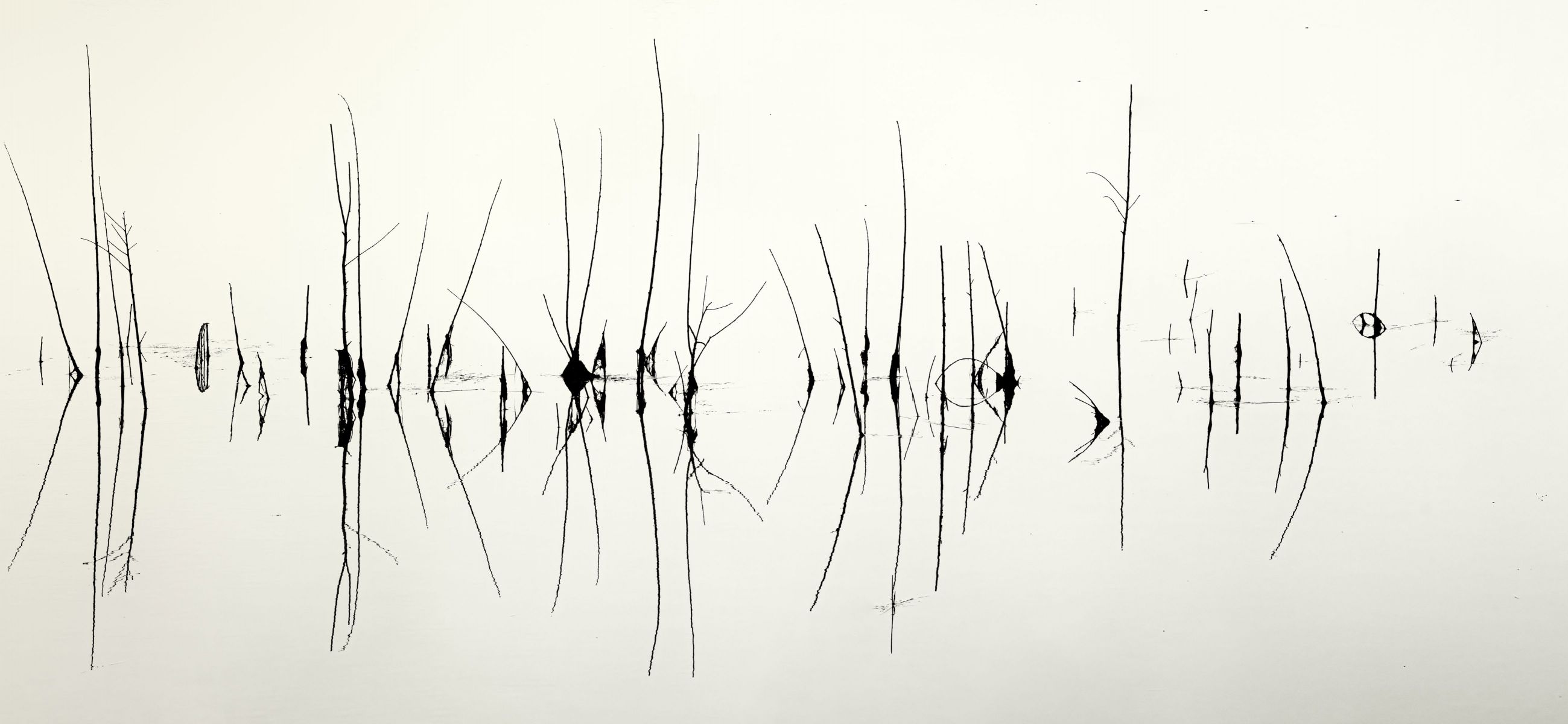 reflection | GANREF