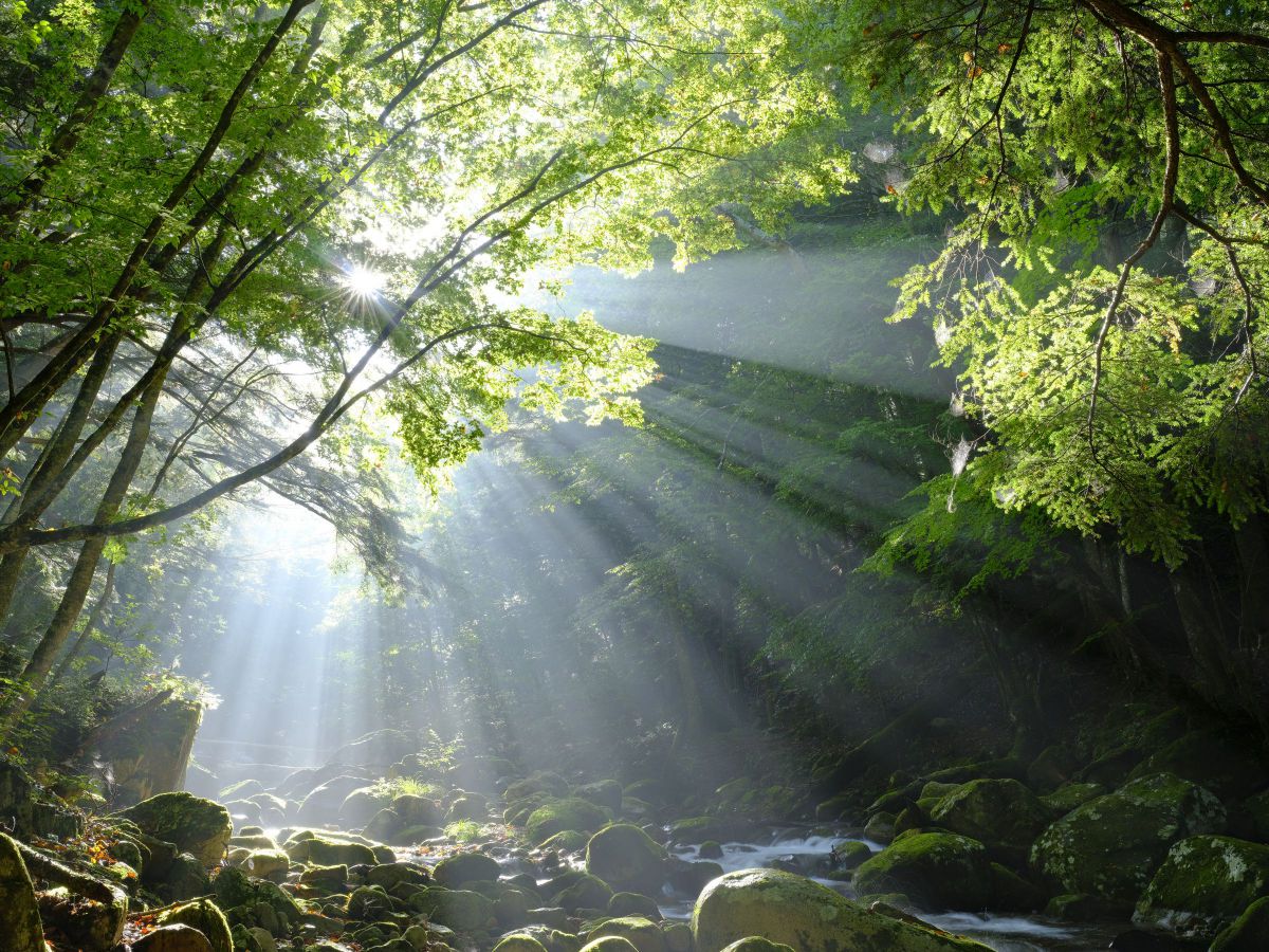 通仙峡(山梨) GANREF