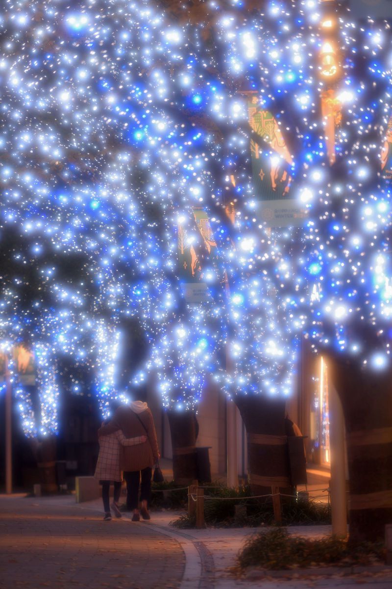 雪の華恋人たちのクリスマス Jpg 街並み 建物 夜景 Ganref