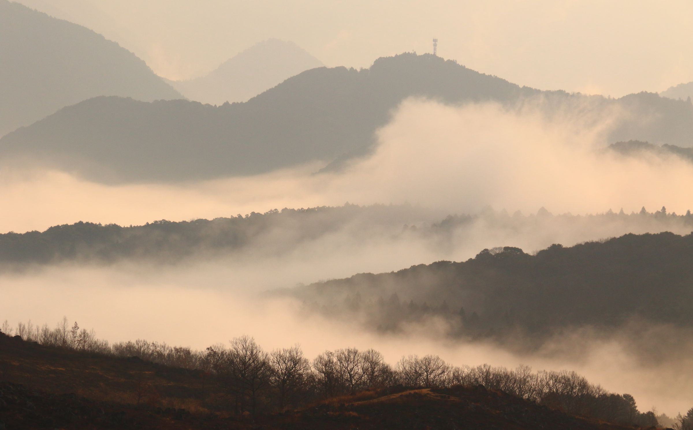 早春の朝に | GANREF
