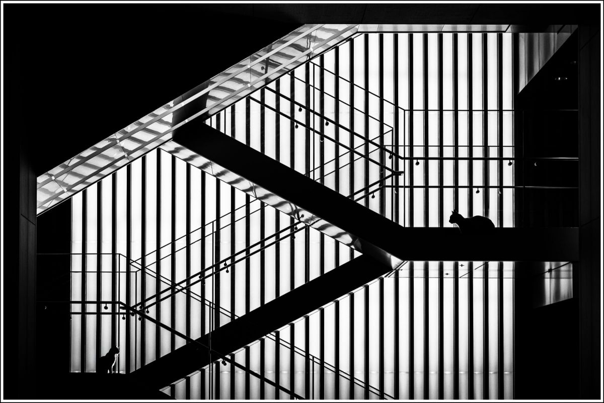 AF Zoom-Nikkor 70-300mm f/4-5.6Gで撮影された写真 | 写真検索 | GANREF