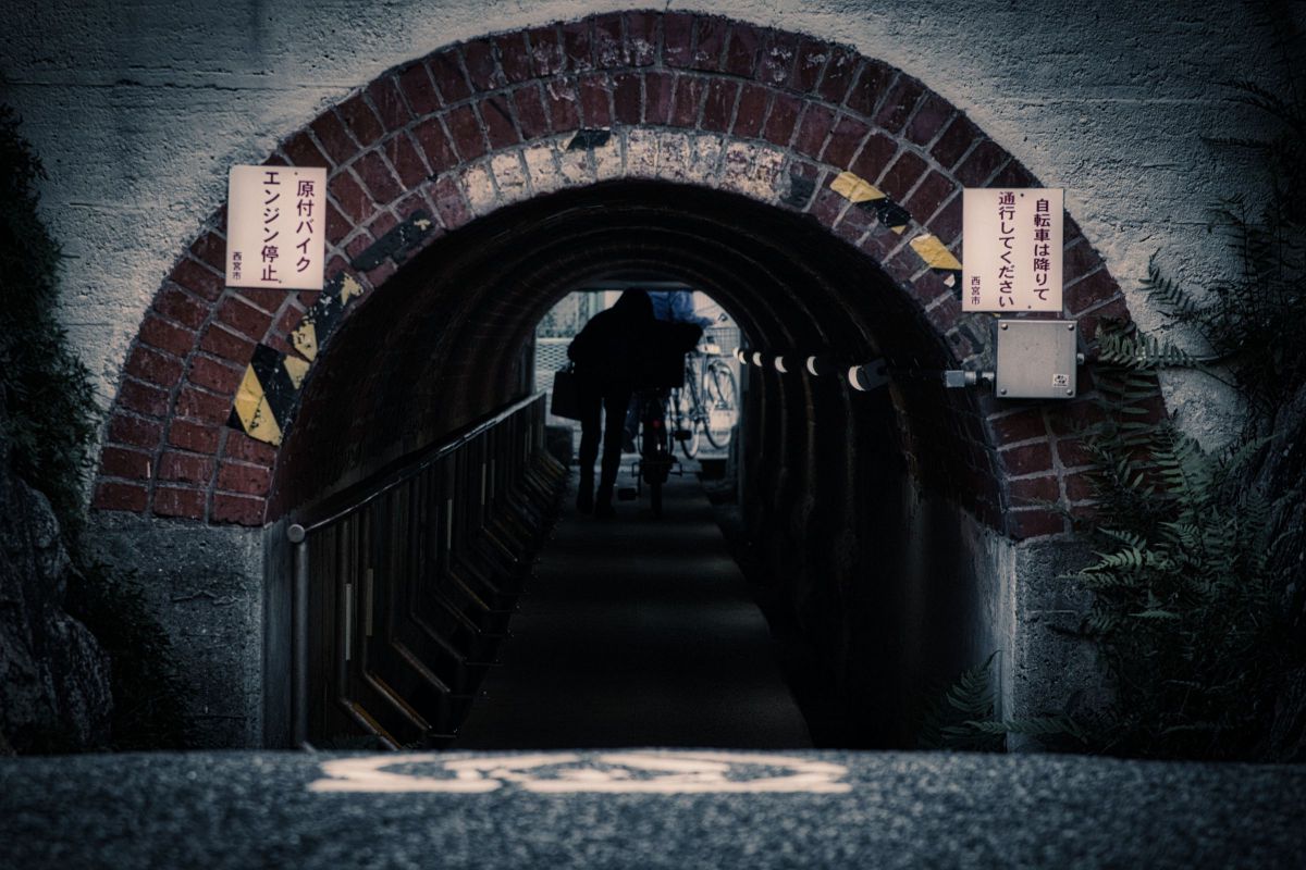 向こう側へ GANREF