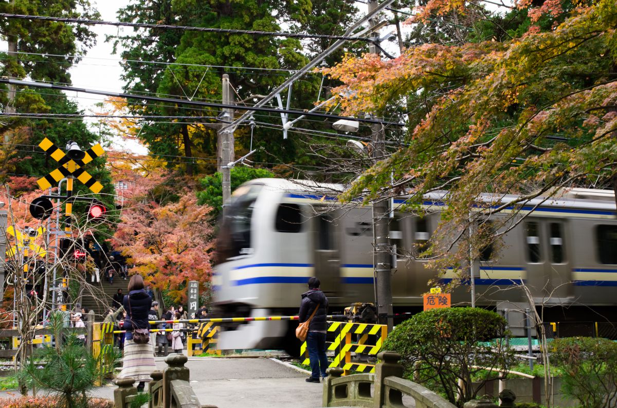 紅葉の北鎌倉駅前 円覚寺参道 乗り物 交通 鉄道 駅 Ganref