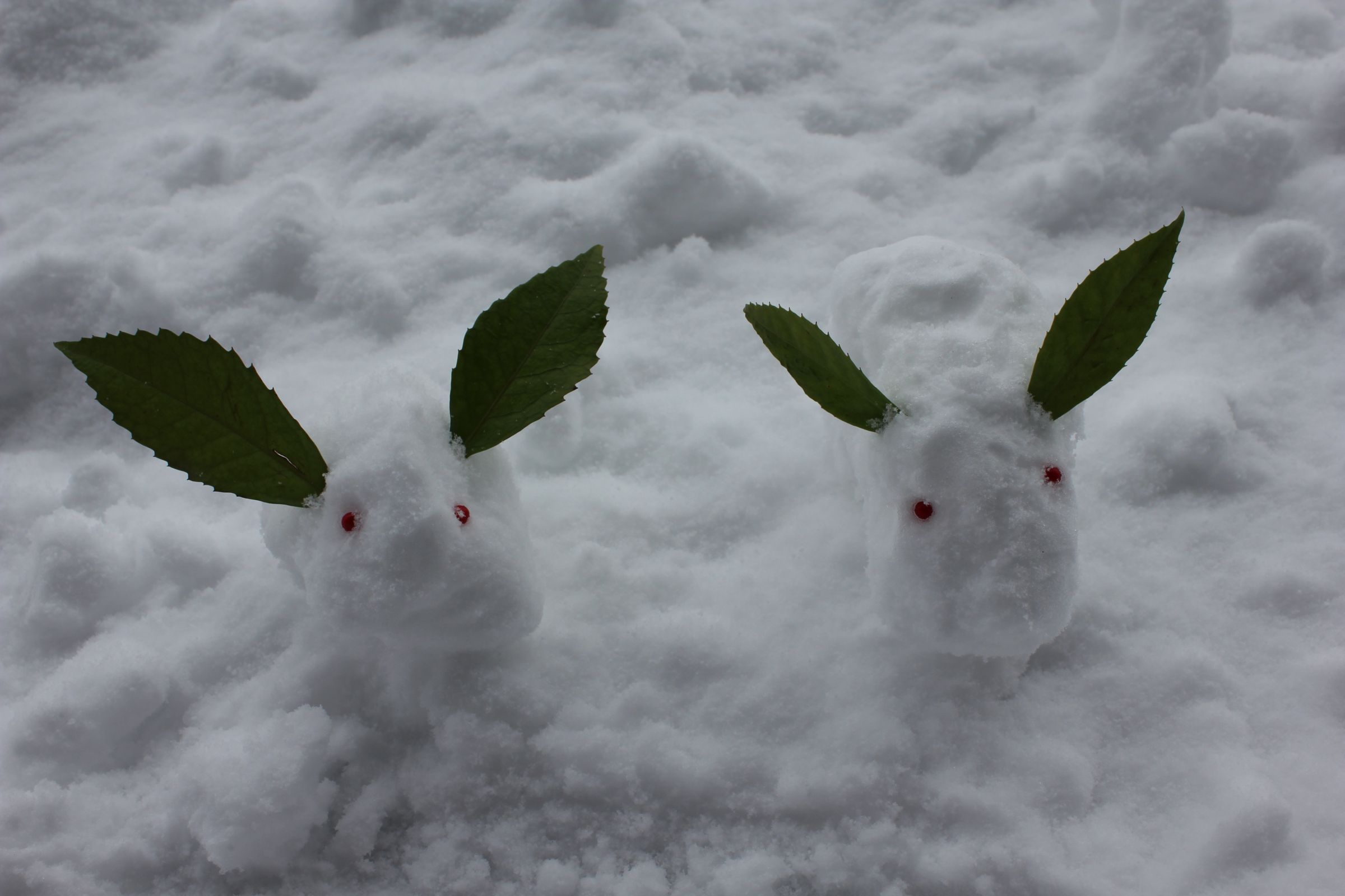 雪ウサギ | GANREF